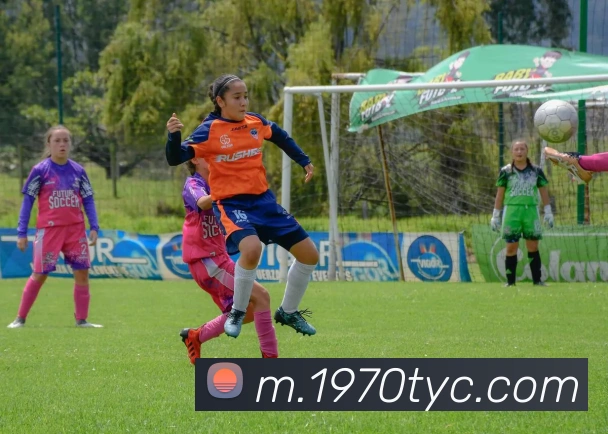 太阳城APP 封面图